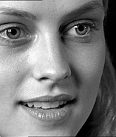 048.jpg
