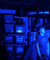 Filename=Lights_Out_2016_1080p_ATP_008974.jpg
Filesize=104KiB
Dimensions=1920x800
Date added=Nov 11, 2025 Lights_Out_2016_1080p_ATP_008974.jpg