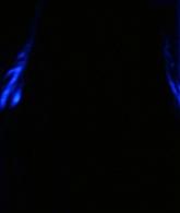 Lights_Out_2016_1080p_ATP_009158.jpg