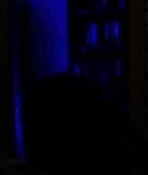 Lights_Out_2016_1080p_ATP_010174.jpg
