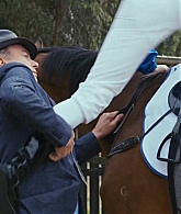 adoringteresap_ridelikeagirl_caps_0341.jpg