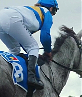 adoringteresap_ridelikeagirl_caps_2367.jpg