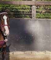 adoringteresap_ridelikeagirl_caps_3003.jpg