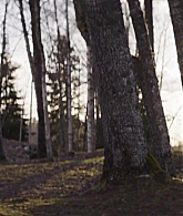 adoringteresap_thetwins_caps_1360.jpg