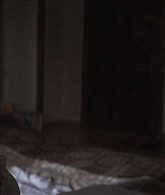 adoringteresap_thetwins_caps_1942.jpg