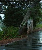 thechoice2704.jpg