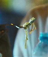Wish_You_Were_Here_2012_1080p_ATP_00413.jpg