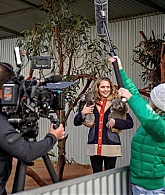 adoringteresap_kangarooisland_onset_002.jpg