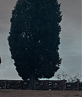 adoringteresap_ADOW_2x05_caps_0437.jpg