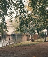 A_Discovery_of_Witches_S01E02_1080p_ATP_2876.jpg