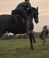 A_Discovery_of_Witches_S01E04_1080p_ATP_2251.jpg
