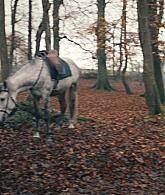 A_Discovery_of_Witches_S01E05_1080p_ATP_0839.jpg
