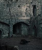 A_Discovery_of_Witches_S01E06_1080p_ATP_0190.jpg