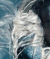 Filename=A_Discovery_of_Witches_S01E06_1080p_ATP_3027.jpg
Filesize=238KiB
Dimensions=1920x1080
Date added=Dec 04, 2024 A_Discovery_of_Witches_S01E06_1080p_ATP_3027.jpg