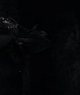 A_Discovery_of_Witches_S01E06_1080p_ATP_3785.jpg