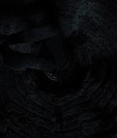 A_Discovery_of_Witches_S01E06_1080p_ATP_3846.jpg