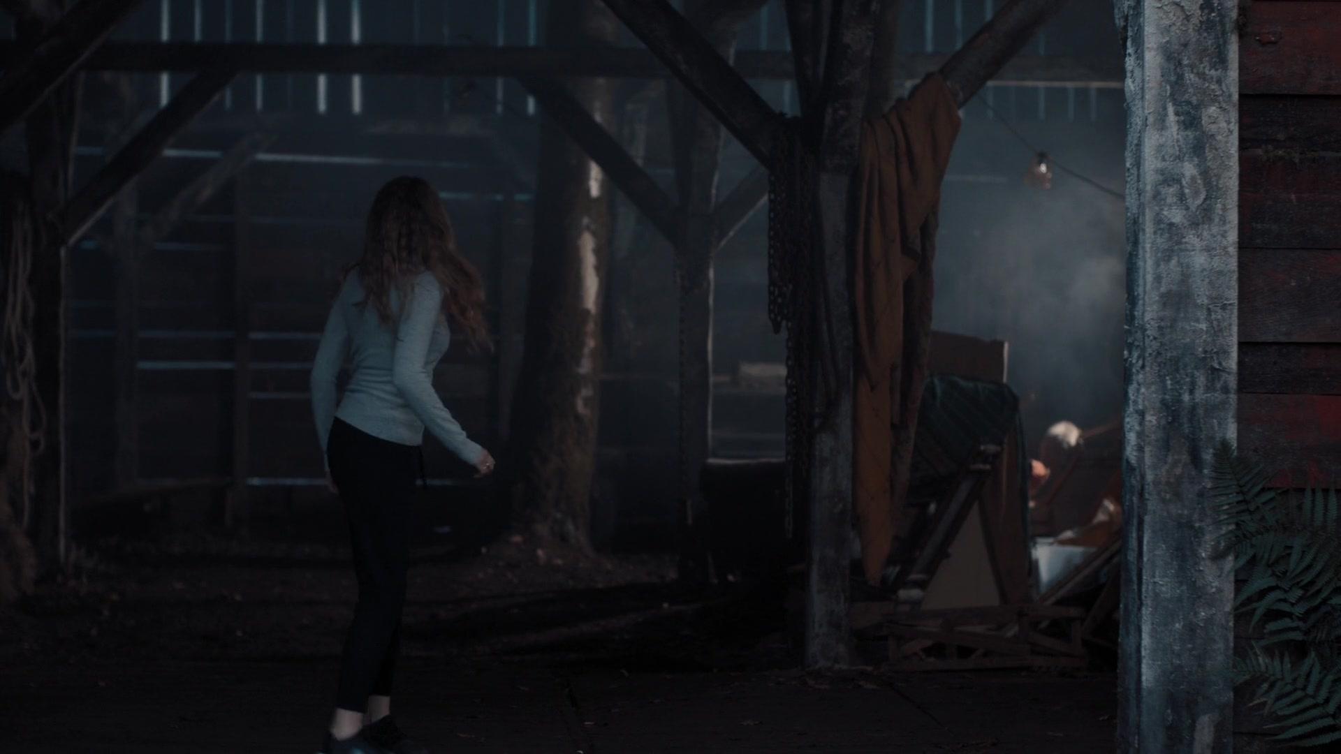 A_Discovery_of_Witches_S01E07_1080p_ATP_3819.jpg