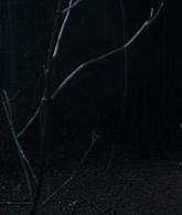 A_Discovery_of_Witches_S01E07_1080p_ATP_4427.jpg