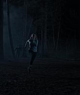A_Discovery_of_Witches_S01E07_1080p_ATP_4644.jpg