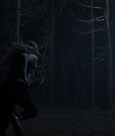 A_Discovery_of_Witches_S01E07_1080p_ATP_4647.jpg