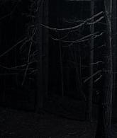 A_Discovery_of_Witches_S01E07_1080p_ATP_4671.jpg