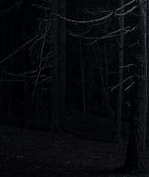 A_Discovery_of_Witches_S01E07_1080p_ATP_4672.jpg