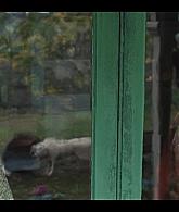 Mix_Tape_2025_S01E03_1080p_ATP_004290.jpg