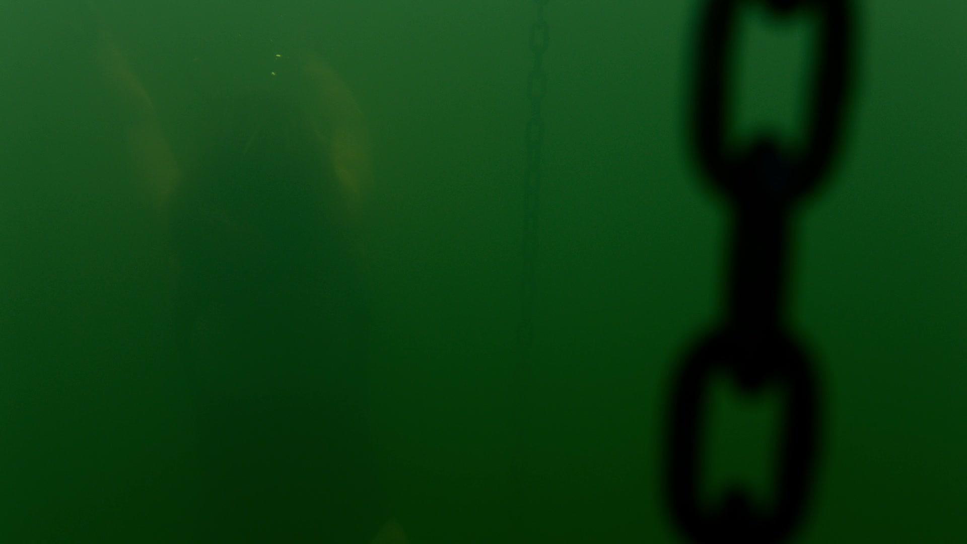 The_Clearing_2023_S01E01_The_Season_of_Unfoldment_1080p_ATP_0686.jpg