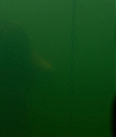 The_Clearing_2023_S01E01_The_Season_of_Unfoldment_1080p_ATP_0684.jpg