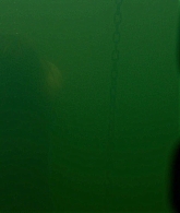 The_Clearing_2023_S01E01_The_Season_of_Unfoldment_1080p_ATP_0685.jpg