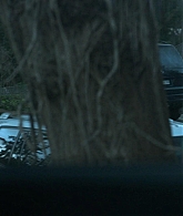 The_Clearing_2023_S01E02_Kindred_1080p_ATP_0844.jpg