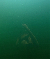 adoringteresap_theclearing_1x04_caps_0334.jpg
