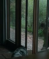 The_Clearing_2023_S01E06_The_Pied_Piper_1080p__4624.jpg
