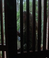 adoringteresap_theclearing_1x07_caps_0313.jpg