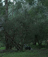Filename=adoringteresap_theclearing_1x07_caps_0771.jpg
Filesize=547KiB
Dimensions=1920x1080
Date added=May 12, 2026 adoringteresap_theclearing_1x07_caps_0771.jpg