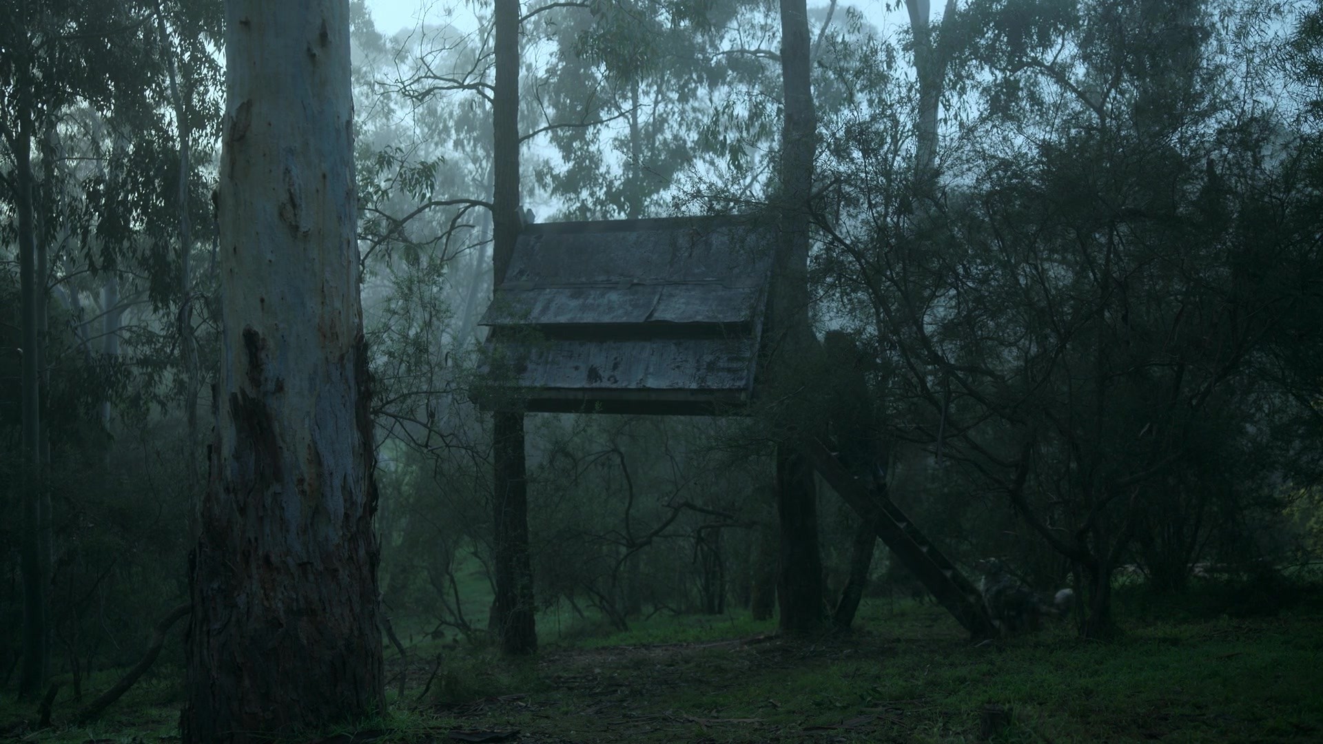 adoringteresap_theclearing_1x08_caps_0035.jpg