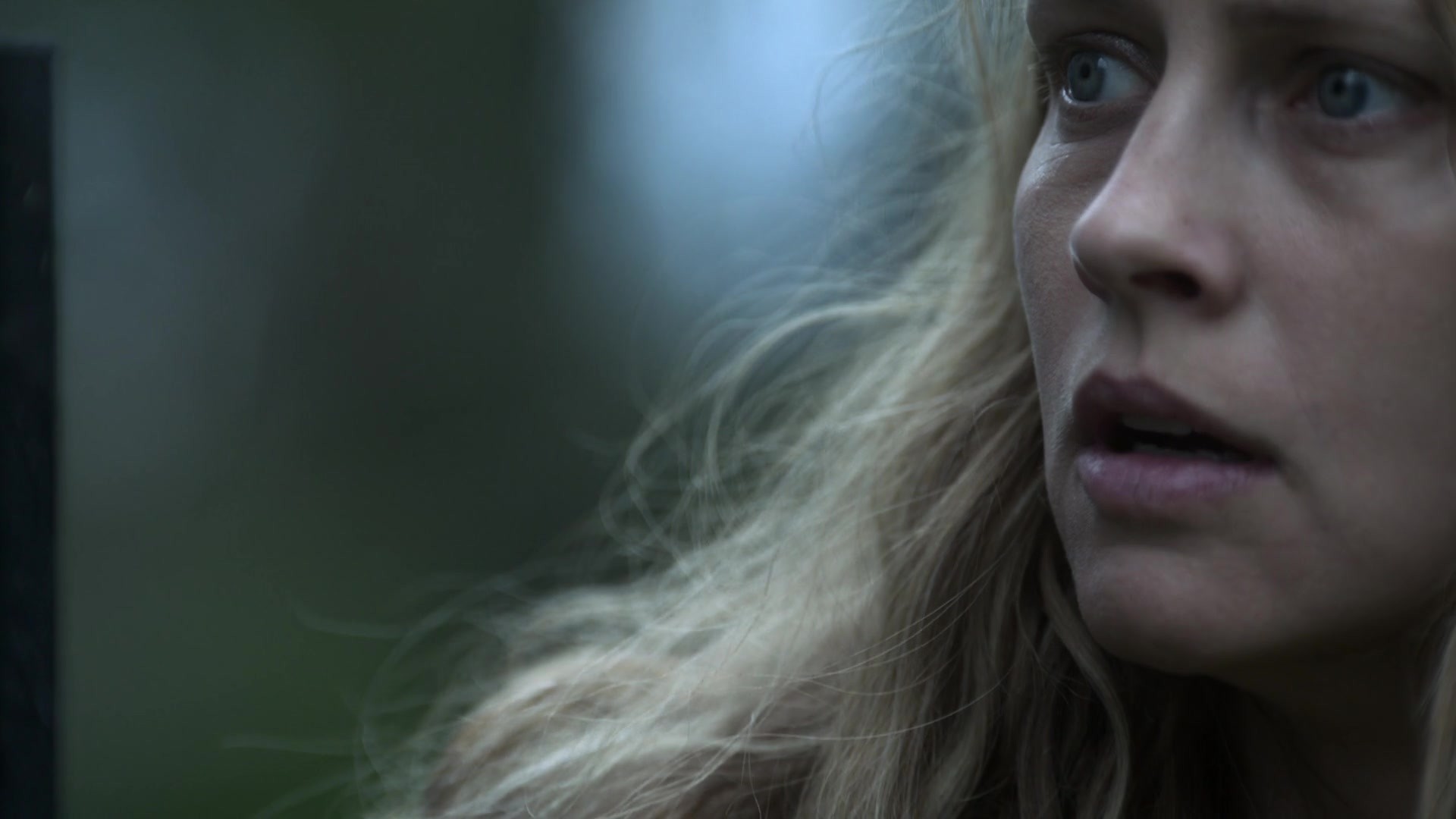 adoringteresap_theclearing_1x08_caps_0472.jpg