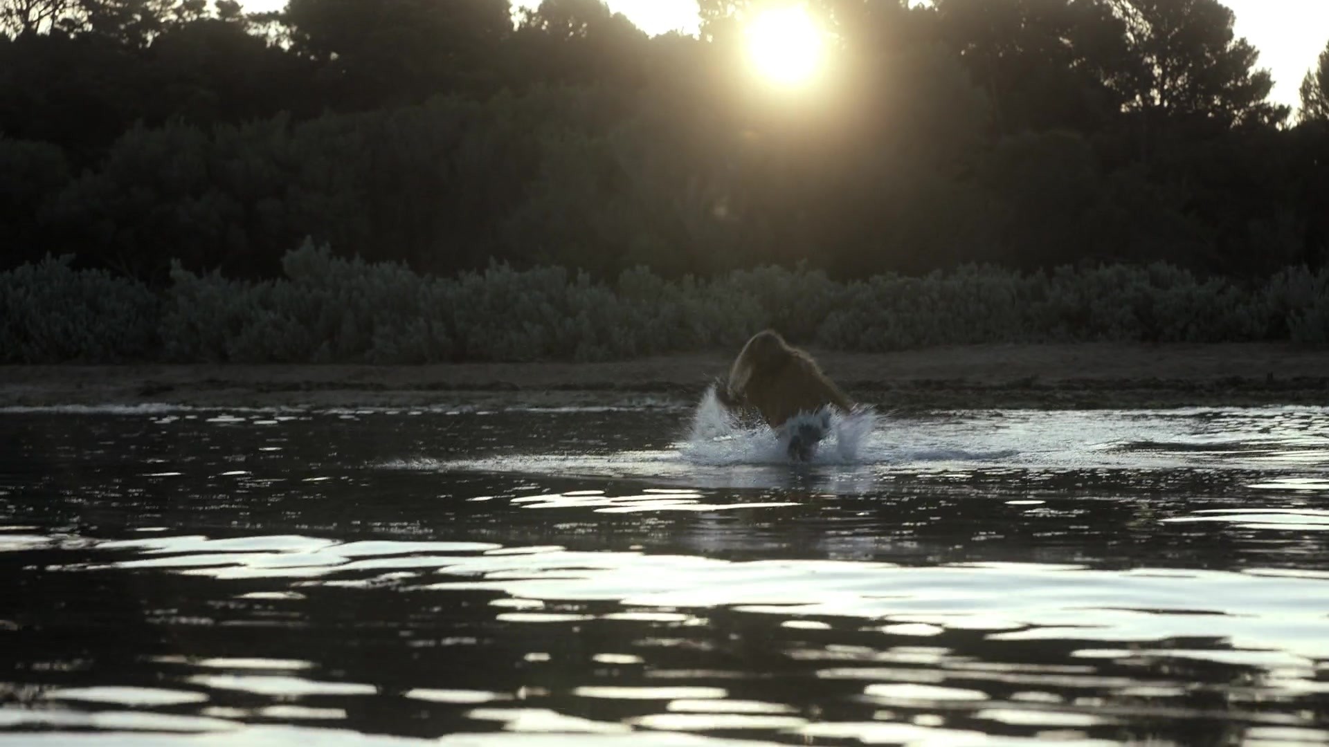 adoringteresap_theclearing_1x08_caps_0924.jpg