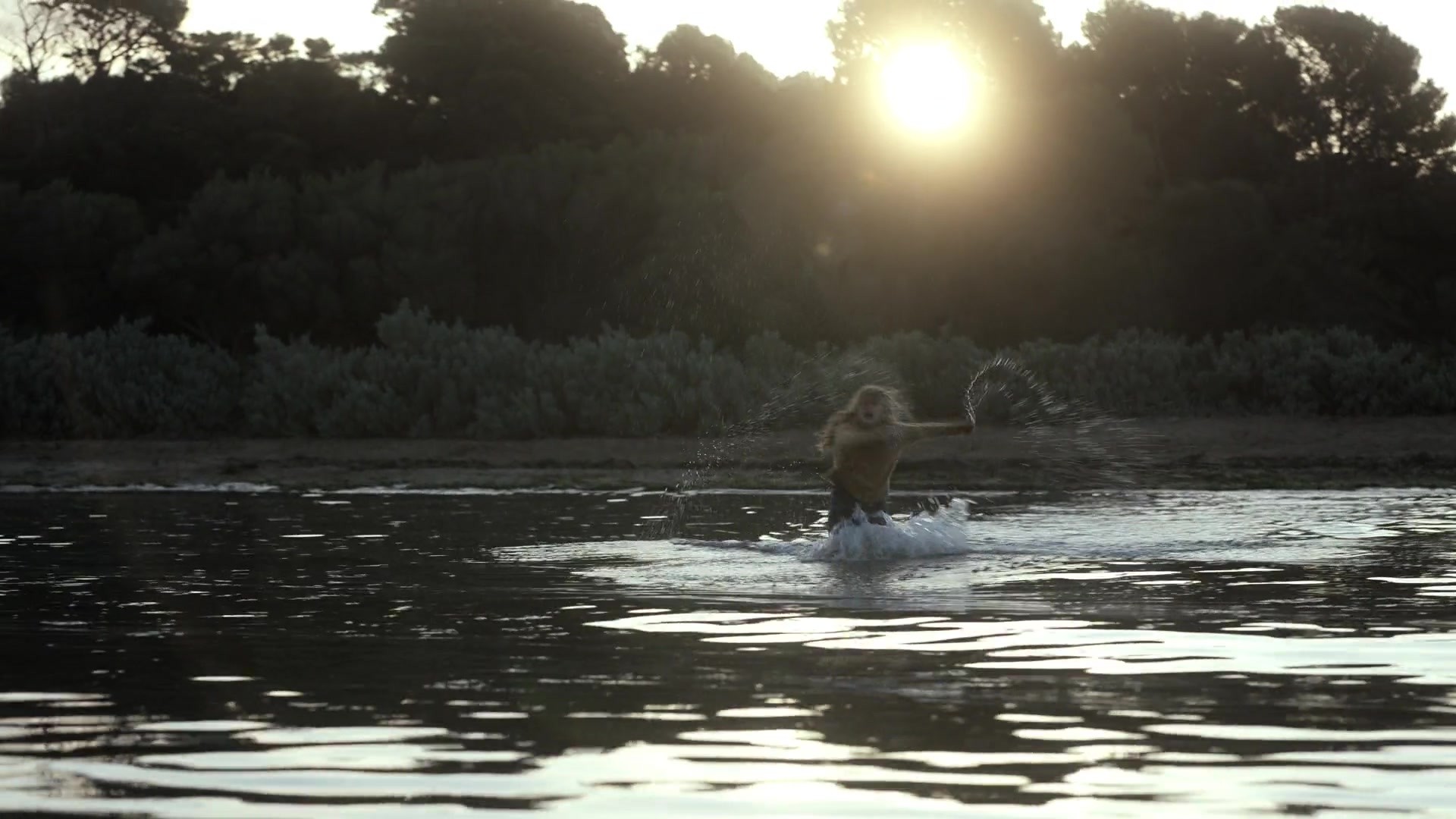 adoringteresap_theclearing_1x08_caps_0925.jpg
