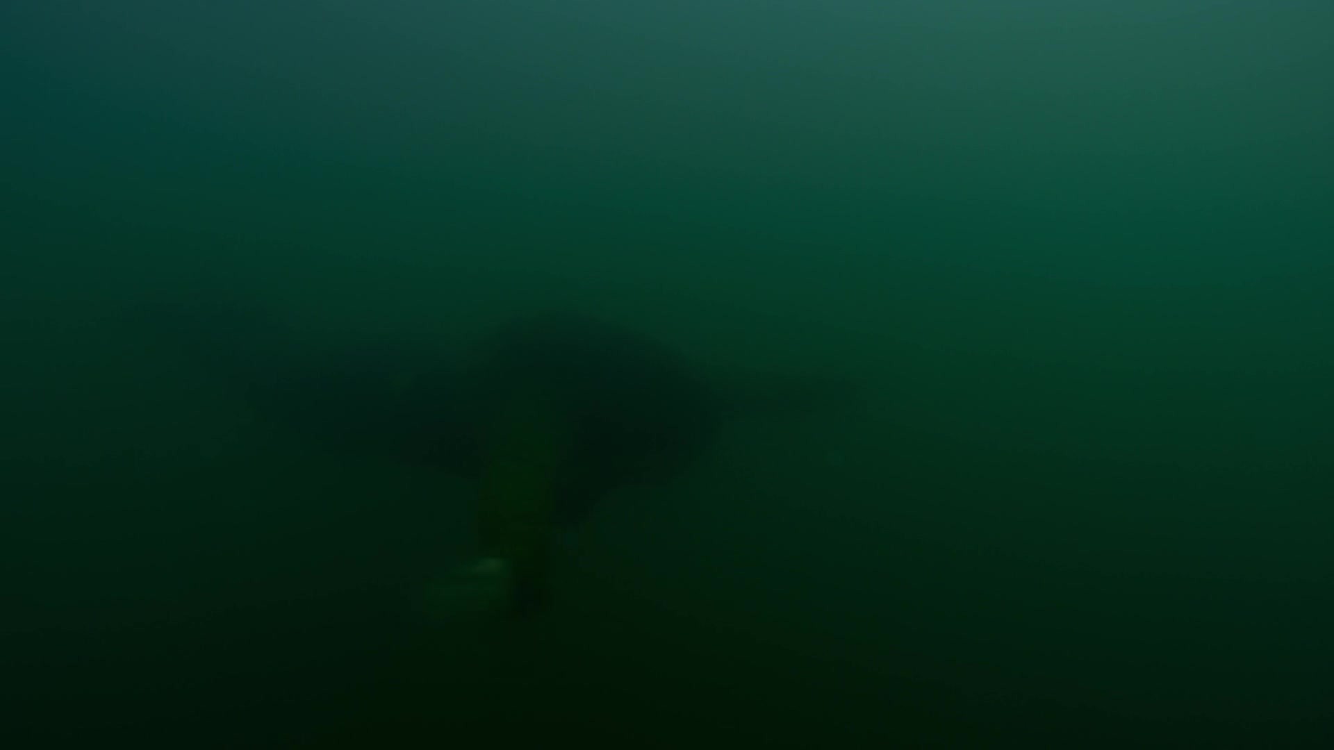 adoringteresap_theclearing_1x08_caps_0950.jpg