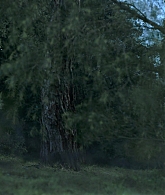 adoringteresap_theclearing_1x08_caps_0066.jpg