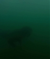 adoringteresap_theclearing_1x08_caps_0948.jpg