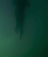 adoringteresap_theclearing_1x08_caps_0957.jpg