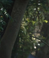 adoringteresap_thelastanniversary_1x06_caps_0053.jpg